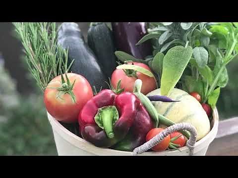 Gérer une tour hydroponique