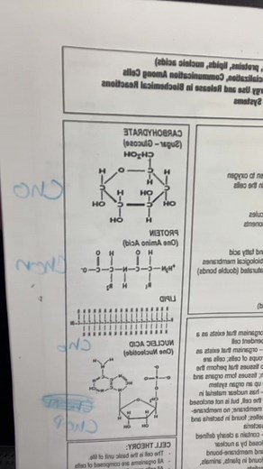 #biology #studdy#biologyeoc#10thgrade#flordia | biology eoc