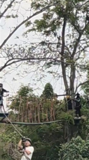 #CapCut #TarzanZipline #tarzanadventurepattaya #pattayazipline #Thailand #ThailandZipline #Adventure #extreme #outdoor #pattaya #experience #activity #trip #journey #travel