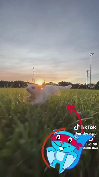 Splendid Happy Tree Friends Moments