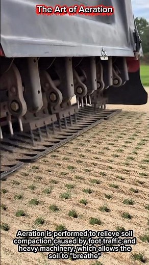 The Art of Aeration