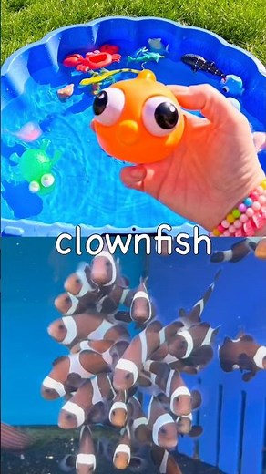Learn Sea Animal Names for Kids with Toys: Marine Iguana Walrus Clownfish Blue Spotted Stingray