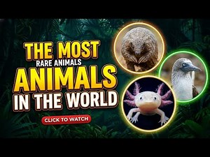THE MOST RARE ANIMALS IN THE WORLD 🌍🦎