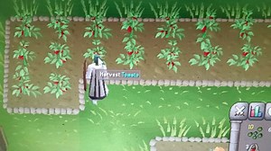 osrs 农场玩法