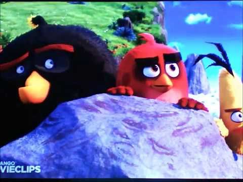 "The Birds of Madagascar" Intro