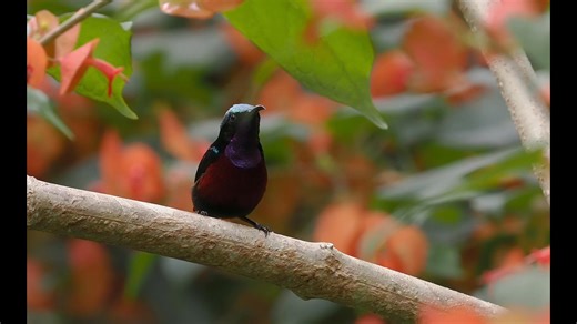 49 reactions · 13 comments | โดยส่วนตัวชอบ VDO File จาก OM จริงๆ...