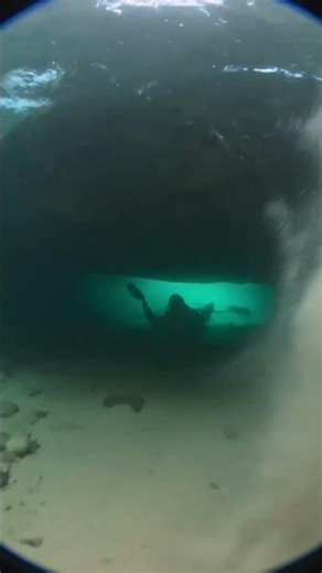 Marine Life Under the Jungle Cliffs #wildlife #underwater #discovery