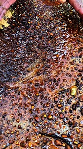 wow, amazingly, gold carat seeds contain hundreds to millions of hidden precious metals #gold #goldcarat #preciousmetal #goldgrains #goldpanning #goldhunting #lookingforgold | Gustian Gus Tian