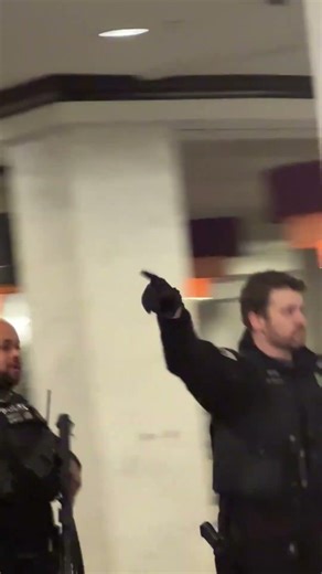 Footage shows wounded person surrounded by Secret Service at White House dinner