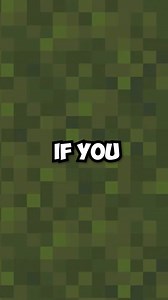 18K views · 321 reactions | How a Fossil Broke Minecraft's World...