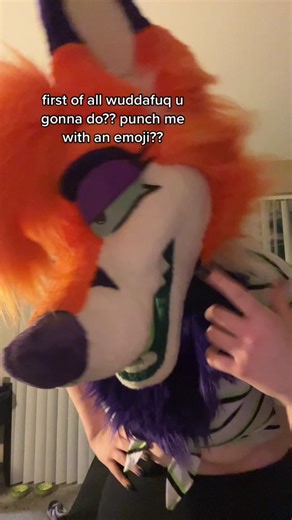 Fun Fursuit FoxiBoxi Furry Adventure