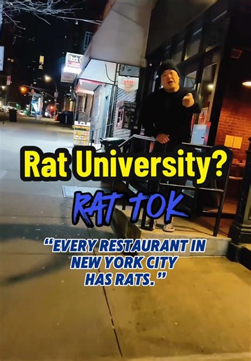 Culinary School Basics: Cleaning and NYC Rats