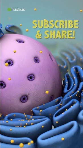 Biology Quiz: What are 2 categories of cells?