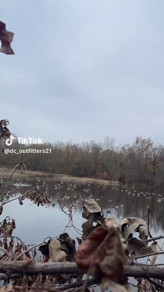 Good food good vibes#duckhunting #DCoutfitters #higdondecoys #blackstone #duckblind #sitkagear