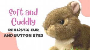 Watch Bunny Stuffed Animal, Rabbit Stuffed Plush Realistic Looking on Amazon Live