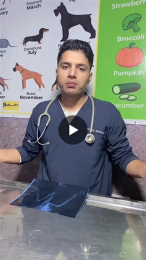 A carpal bone dislocation is a serious wrist injury where one or more of the small wrist bones (carpals) moves out of place, often from a high-energy fall or trauma, causing severe pain, swelling… | Dr. Abdul Ahad DVM