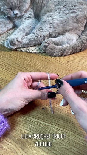 Easy Crochet Tutorial: Lidia Crochet Tricot for Beginners