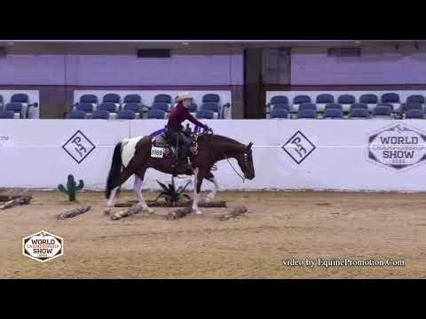 Color Me Marked 2022 APHA World - Am Ranch Trail