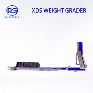 [Hot Item] Tomato Processing Machine by Weight/Size/Color Grading System for Farmer