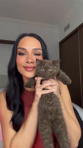 Anja and her British boys 🐾 | My baby🐻🤎 | Instagram
