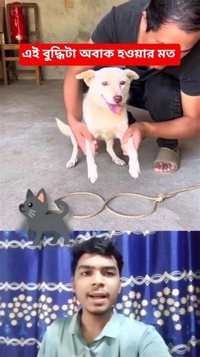 Planning to take your dog for a walk? Learn this essential leash hack before you go! 🐕✨ #dog