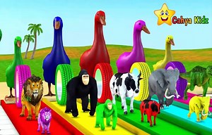 159K views · 1.6K reactions | Head Shoulders knees and toes - Learn Colors With 5 Duck #baby #kids #song #reels #fypシ | Cahya kidz - Lagu Anak Anak | Facebook