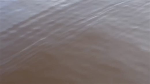 31K views · 108 reactions | One of the best baits for open water Livescope fishing. The Jackall Lures Drift Fry. Yamaha Outboards Skeeter Products, Inc Kearby Design & Manufacturing ExpressTime Solutions Garmin Fish & Hunt TFO Rods - Temple Fork Outfitters HI-SEAS Bassmaster #yamahaoutboards #skeeterboats #garminfishhunt #garminpro #jackalldriftfry #jackalllures #teamamphibia #bassmaster | Cliff Pace Fishing | Facebook