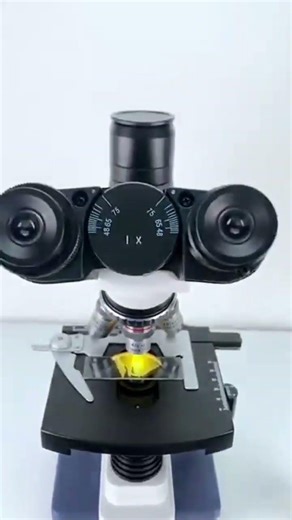 ckn_microscopa#shorts video#microscopa videos