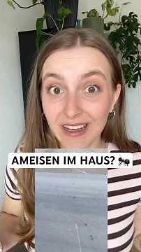 Ameisen in Küche & Garten: Warum sie immer wiederkommen & wie du sie richtig loswirst! 🐜