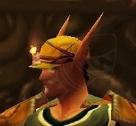 Expert Goldminer's Helmet