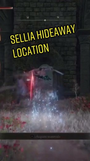 Reply to @zaindflame Sellia Hideaway; where you’ll find Crystal Torrent #eldenring #eldenringhype #eldenringpvp #soulsborne #fyp #fypシ #eldenbling