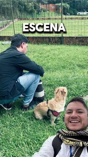 The algorithm no longer works in a basic way; it works in a systemic and neuronal way.