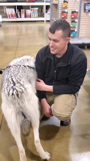 Guardiansofthewolves on TikTok