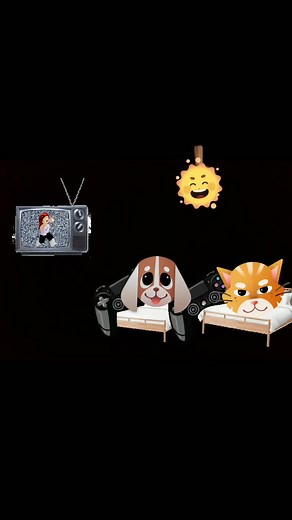 Matty (@abigailandal1)’s videos with Dog & Cat - Tik Tok