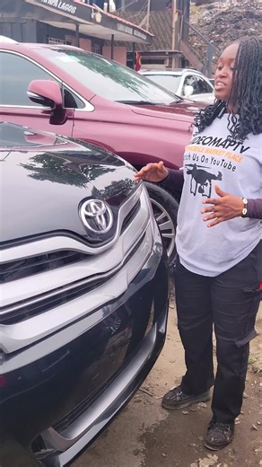 SEE PRICE REVEAL OF 2012 VENZA AT SAB AUTOS