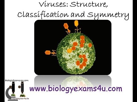Virus Structure Classification and Symmetry