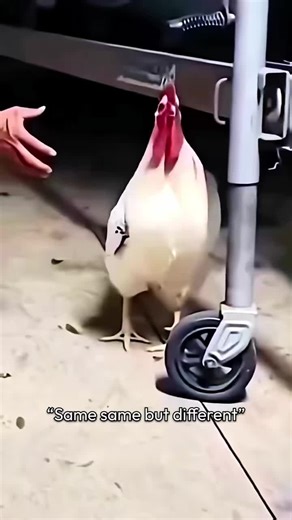 Exploring the Future of Smart Robots and Tech Innovations