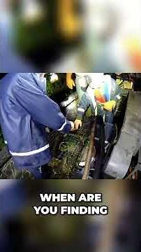 Frog Hunting Adventure: Epic Finds and Crazy Moments! #shorts