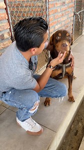 2.5M views · 147K reactions | Extraña a sus antiguos dueños a pesar de todo lo que le hicieron | Jefferson Rescata | Facebook