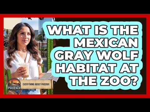 What Is The Mexican Gray Wolf Habitat At The Zoo?