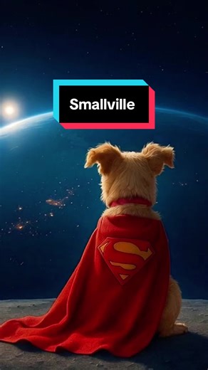 Petite Bella en mode Krypto ❤️🐶 #chien #dog #superman #smallville #chientiktok
