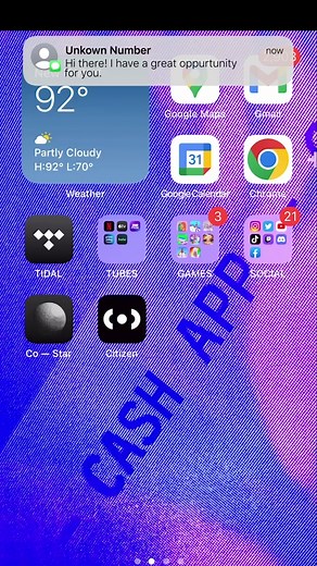 Cash Flips are a scam. Report them and we’ll send Dog CEO to their house.