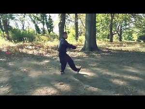 Northern Mantis “Chai Kuei” 螳螂拳 -「摘盔」拳