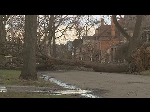 What makes a storm 'severe' and understanding the Severe Storm Outlook