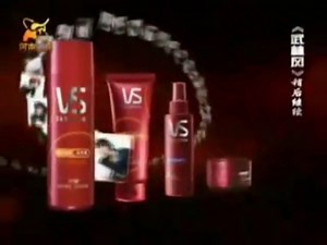 2008-2009年沙宣洗护系列荣获2008广告