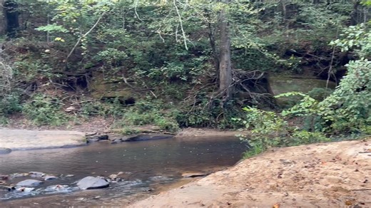 Freeman’s Mill, Georgia. Site of a stone mill for grinding corn into corn mill, grits etc. | Anne Smith