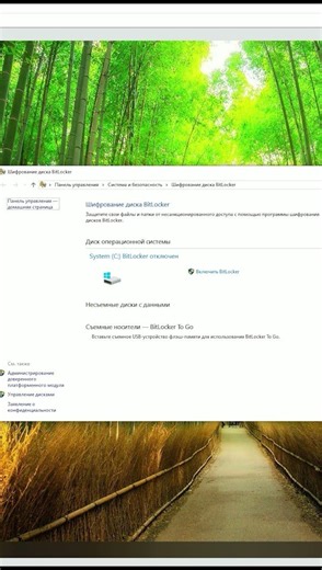 Як увімкнути Bitlocker але є нюанс... #VeraCrypt # Bitlocker #pc #windows