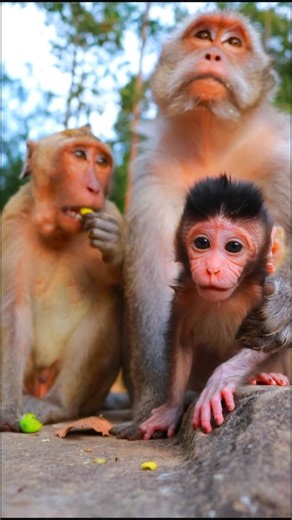 Adorable Mom Dee Dee With Baby Dallas