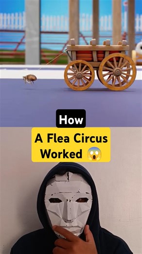 How A Flea Circus Worked 😱 #shorts #didyouknow #shockingfacts #crazyfacts #sciencefacts