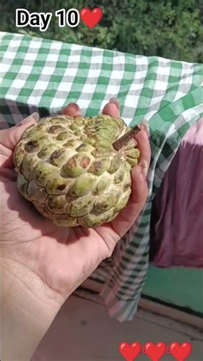 Class 11 Science Student Struggles 😭 | My Honest Daily Routine | Day 10 Vlog